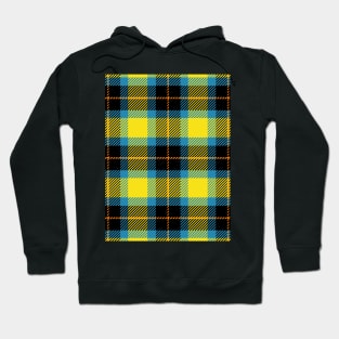 Plaid Pattern Art Hoodie